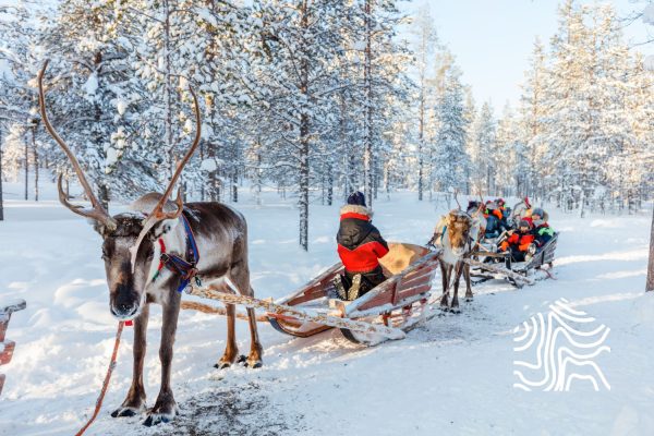 Syöte Stays kuvitus (2)